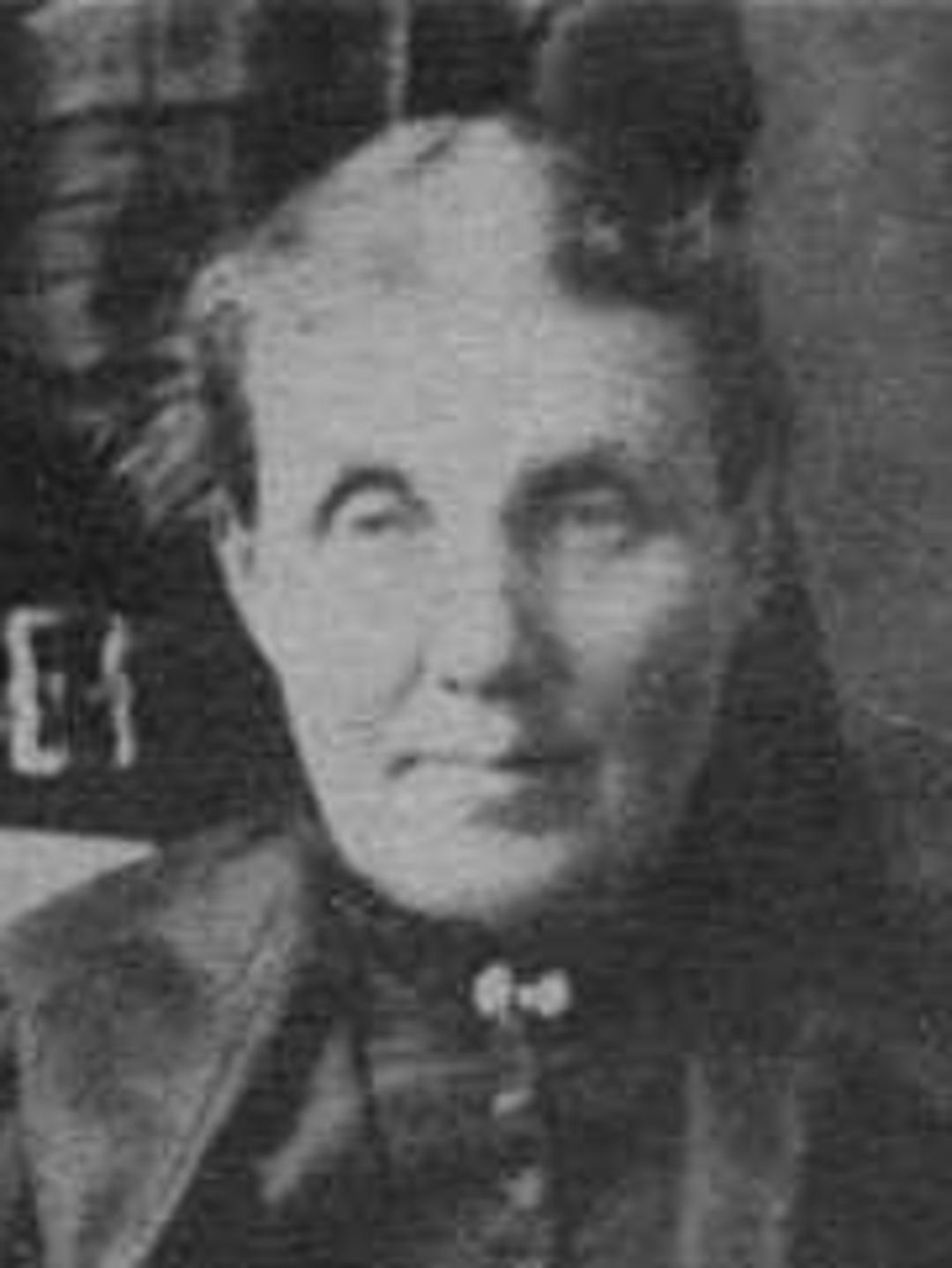 Irena Carter (1849 - 1924) Profile